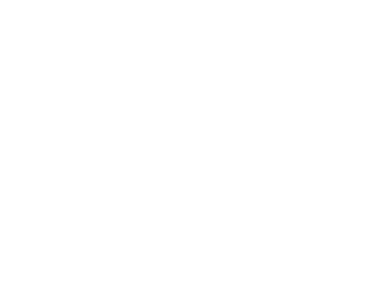 Werk Brau Logo